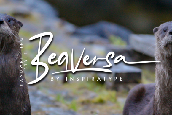 Beaversa: A Friendly Handwritten Font for Creative Branding