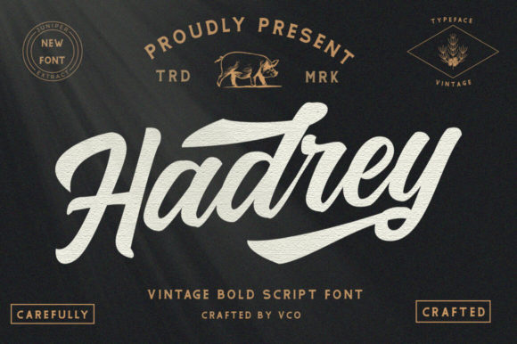 Hadrey Font: Elevate Your Campaign Typography