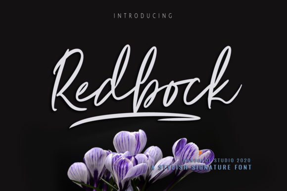 Redbock Font: A Timeless Script for Creative Projects